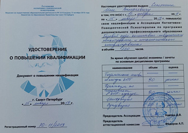 Соломония Илья Валерьевич о повышении квалификации